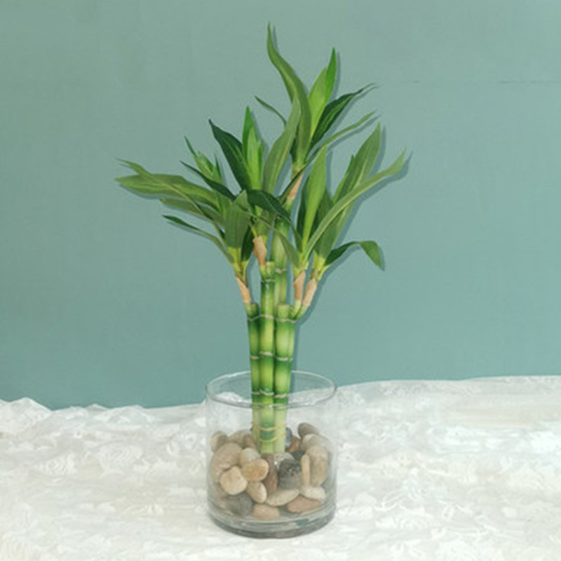 Aquarium Fish Pot - 新しい40cm人工ラッキーバンブー多肉植物フェイクプラントフラワー、緑の鉢植え、庭、屋外ダイニングテーブル、水槽、家の装飾に。