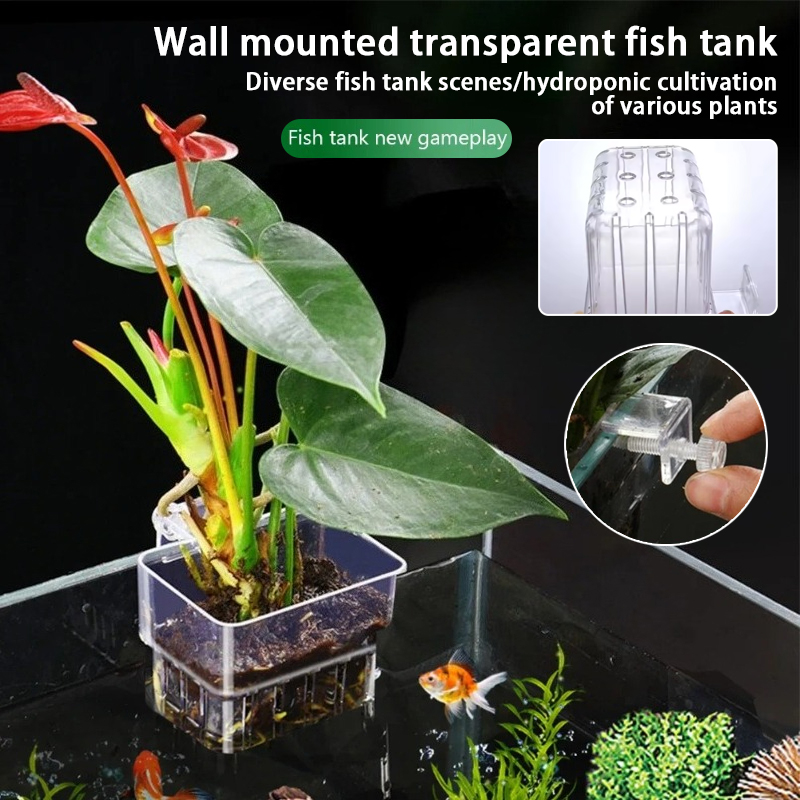 Aquarium Fish Pot - 水槽吊り下げプランターカップ 壁掛け水生植物ホルダー 水槽プランターバスケット 魚タンク植物ポット 魚タンク ペセドラ
