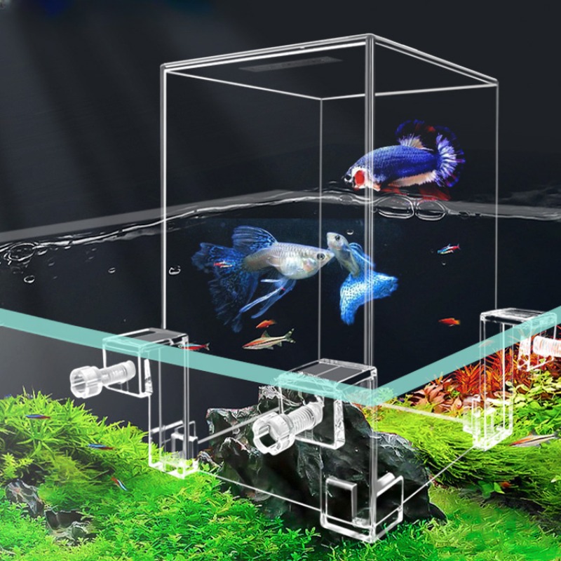 Aquarium Fish Pot - 小さな魚のための負の圧力、創造的な装飾、エコロジカル水族館、ポットの分離、カクテルボウル