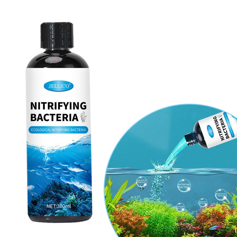 Aquarium Fish Medicine - 硝化菌液体水槽浄水器水族館養魚医療用品金魚鉢水処理製品