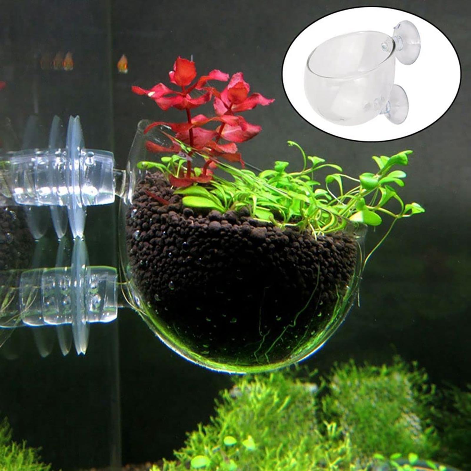 Aquarium Fish Pot - 水生植物ポット クリアアクリル水族館プランター 吸盤付き 魚タンクの装飾品 水耕栽培の繁殖用