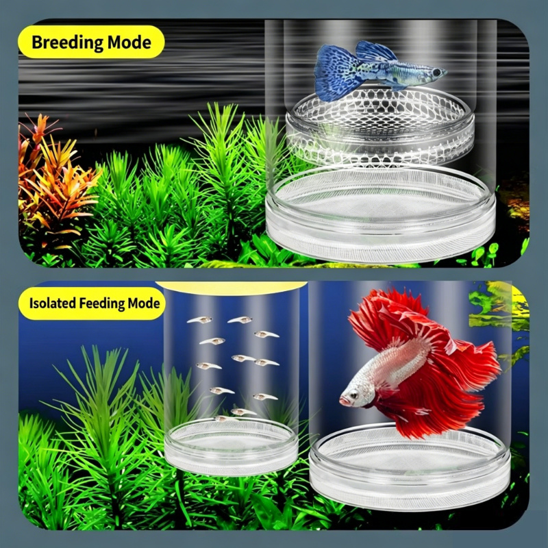 Aquarium Fish Medicine - 透明なフローティングアクアリウム孵化ボックス、グッピー、ゼブラ、ベタの稚魚隔離用品用多機能魚繁殖分離器