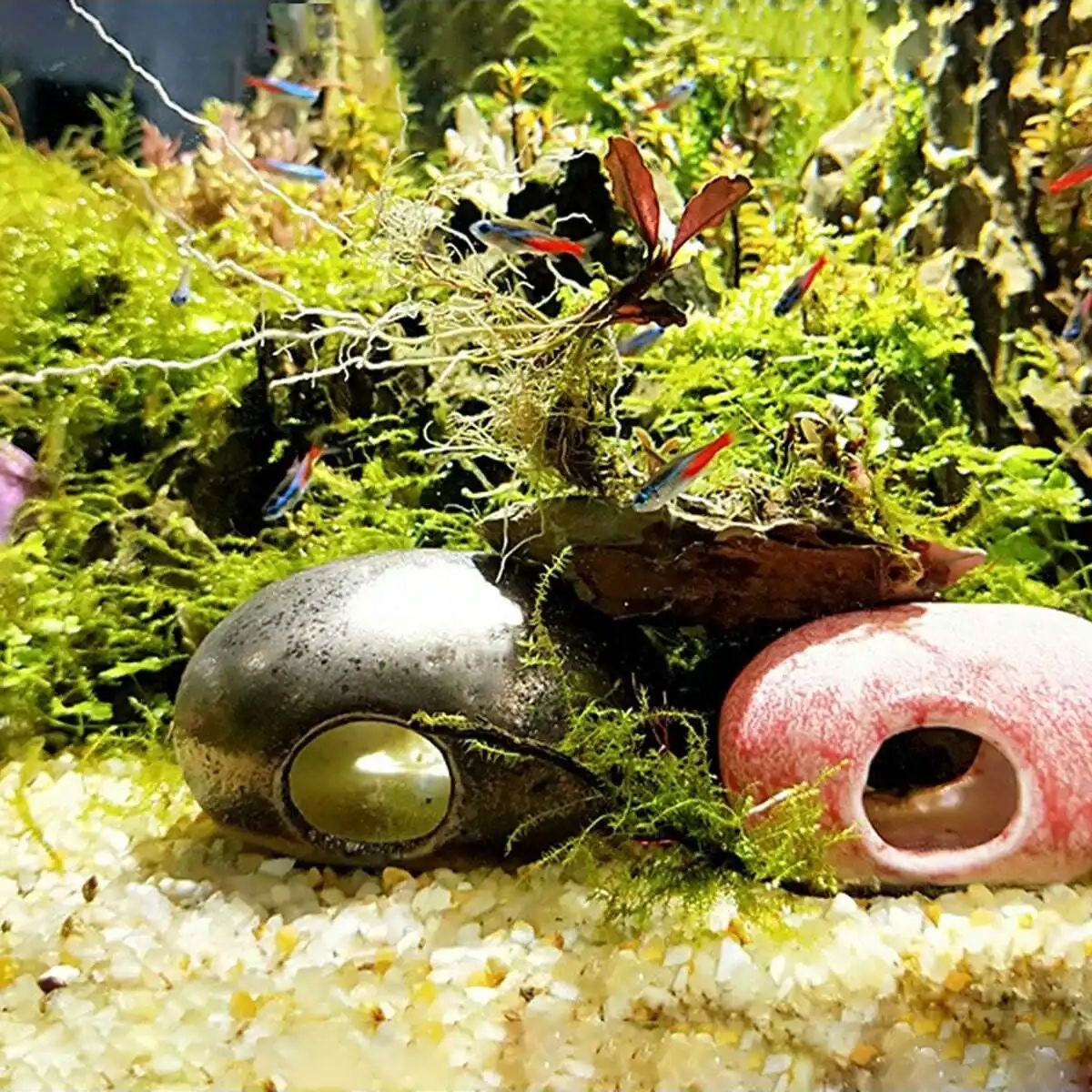 1pc-250 グラム天然結晶砂利石マイクロ風景庭水族館の装 - Aquarium Fish Pot のレビューと価格