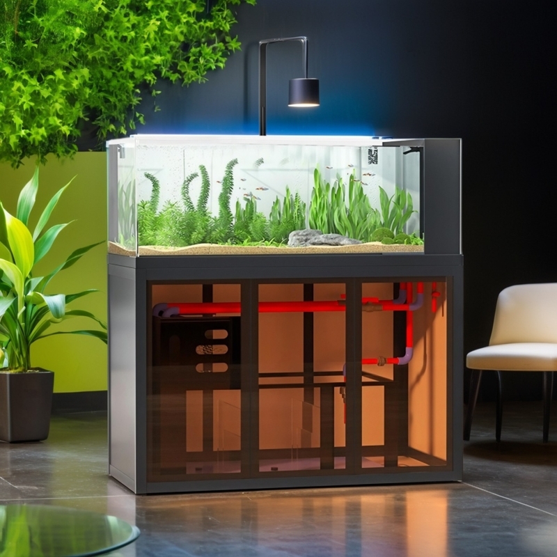 インダストリアルスタイルのアクアスケープ水槽、サイドオーバー - Aquarium Fish Low Maintenance のレビューと価格