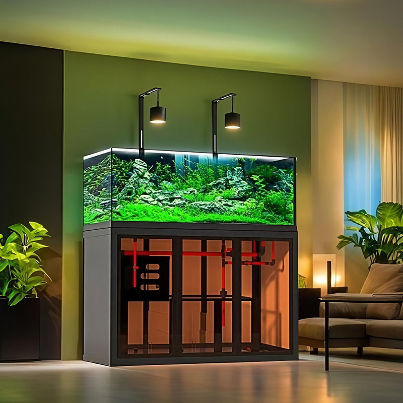 インダストリアルスタイルのアクアスケープ水槽、サイドオーバー - Aquarium Fish Low Maintenance のレビューと価格