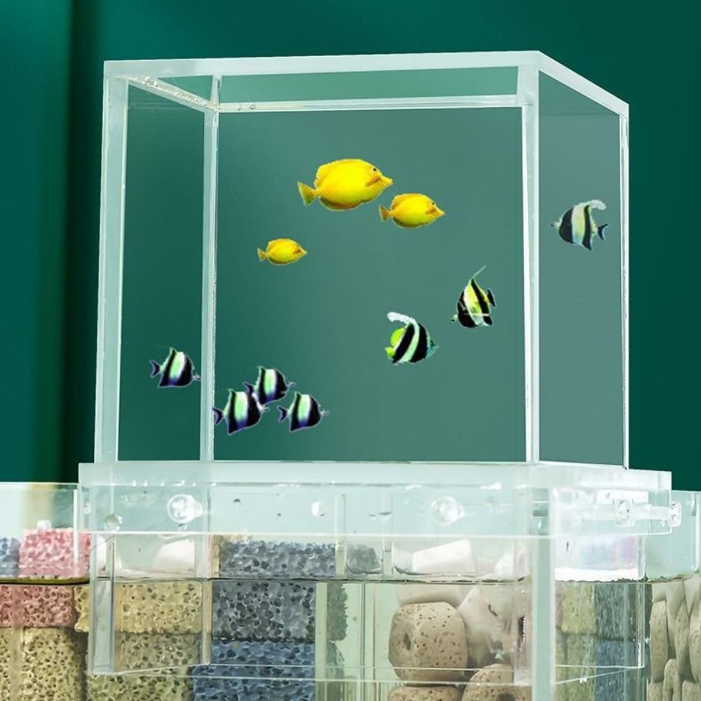 景観整備用負圧水槽　ユニークで目を引くアクリル製吊り下げ式水 - Aquarium Fish Medicine のレビューと価格