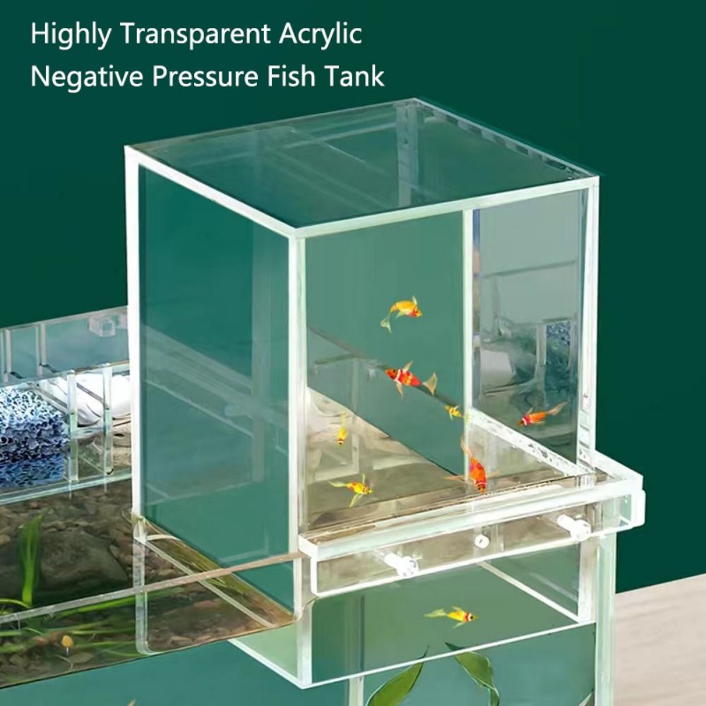 景観整備用負圧水槽　ユニークで目を引くアクリル製吊り下げ式水 - Aquarium Fish Medicine のレビューと価格