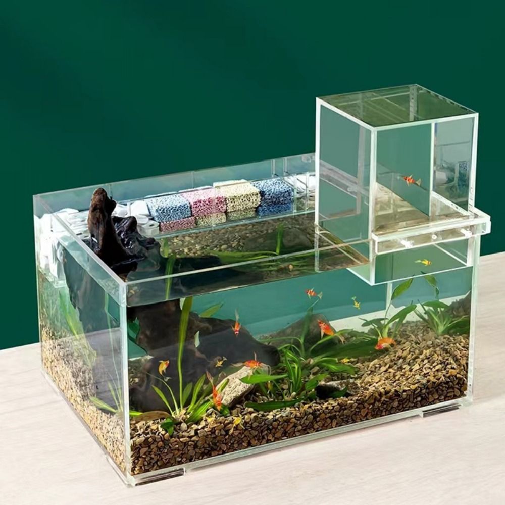 景観整備用負圧水槽　ユニークで目を引くアクリル製吊り下げ式水 - Aquarium Fish Medicine のレビューと価格