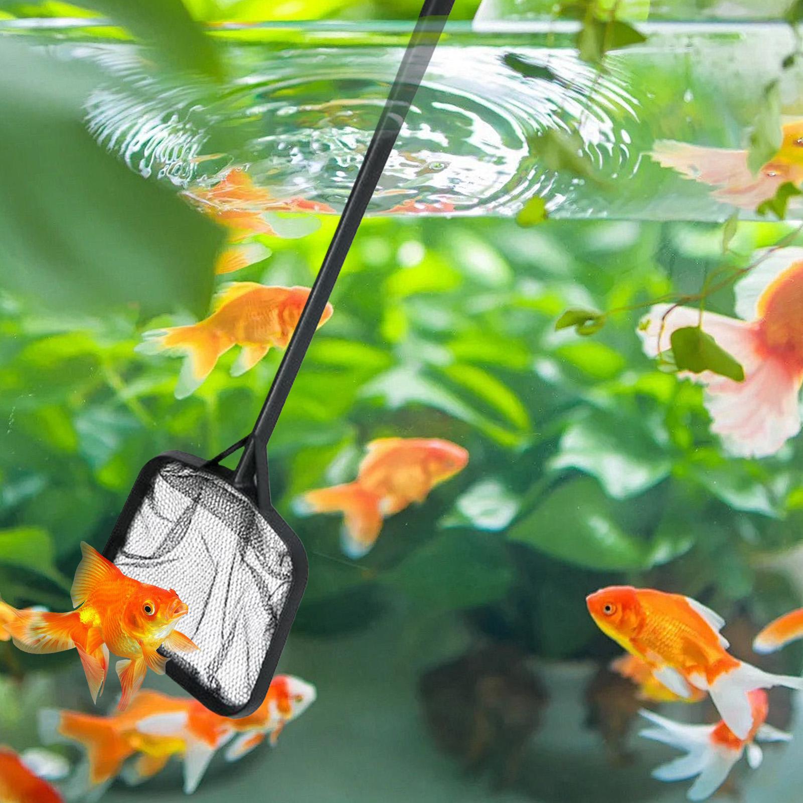 プールネット 清掃用 ポータブルプールストレーナーネット 噴 - Aquarium Fish Maintenance のレビューと価格