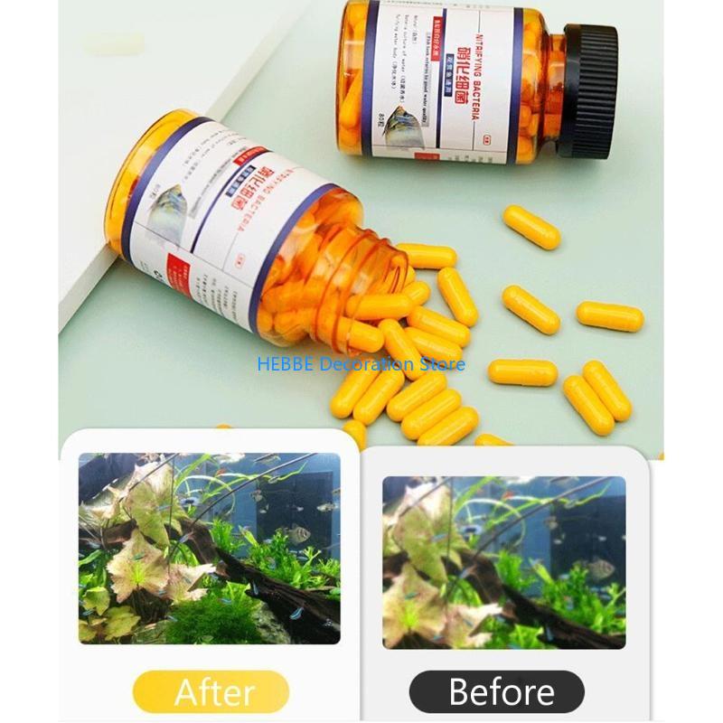 B0KC 30/80 PCS淡水用の硝化細菌カプセルおよびタ - Aquarium Fish Medicine のレビューと価格