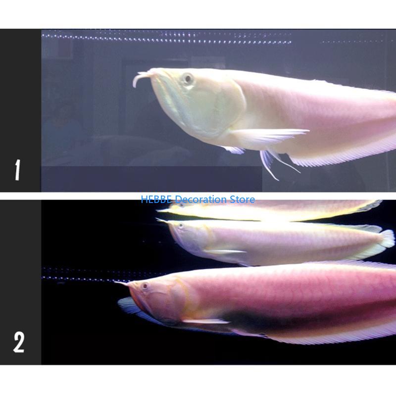 B0KC 30/80 PCS淡水用の硝化細菌カプセルおよびタ - Aquarium Fish Medicine のレビューと価格