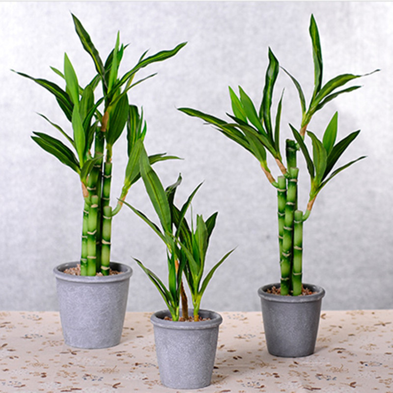 新しい40cm人工ラッキーバンブー多肉植物フェイクプラントフ - Aquarium Fish Pot のレビューと価格