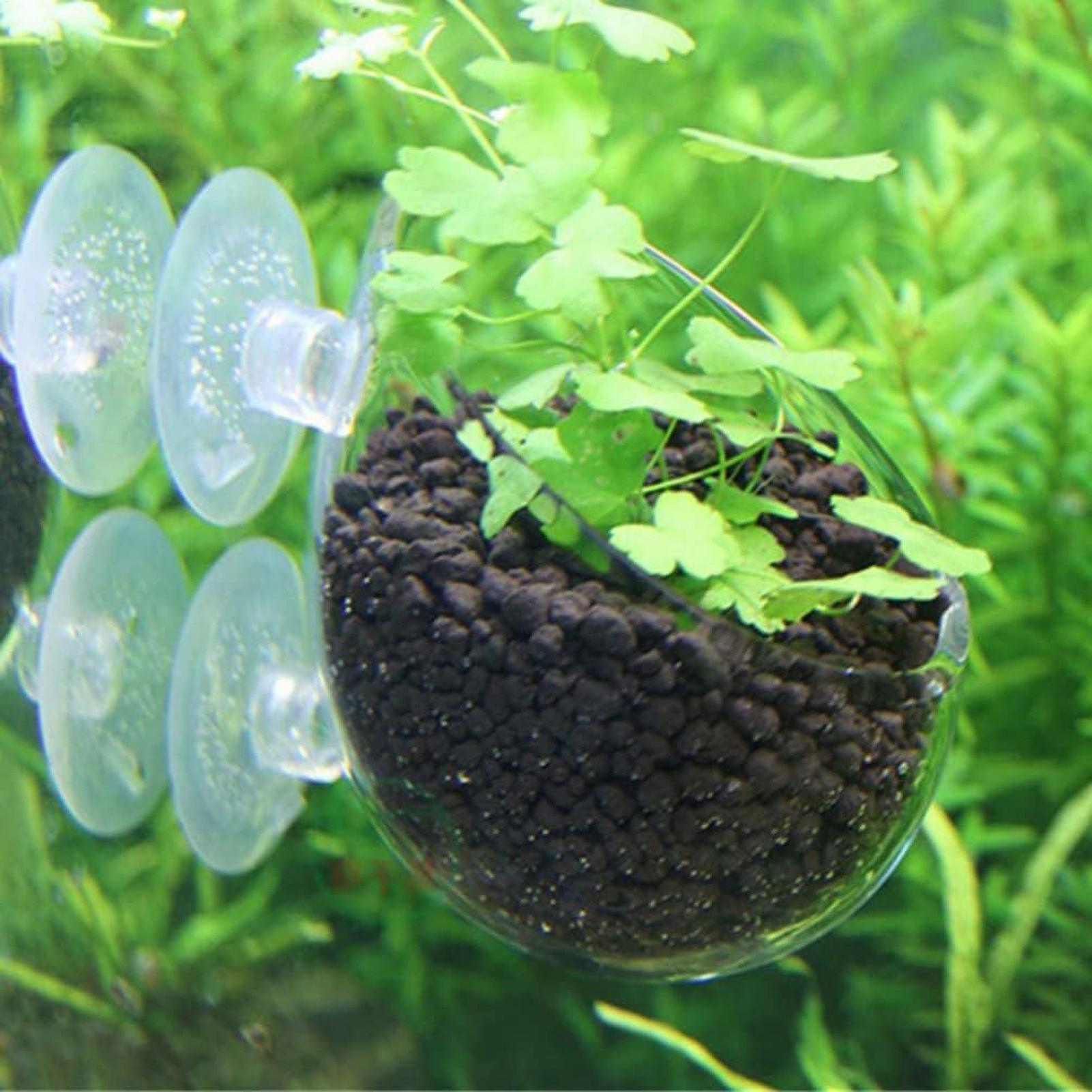 水槽用植物ホルダー ガラス製水草ポット 吸盤付き 生きた植物 - Aquarium Fish Pot のレビューと価格