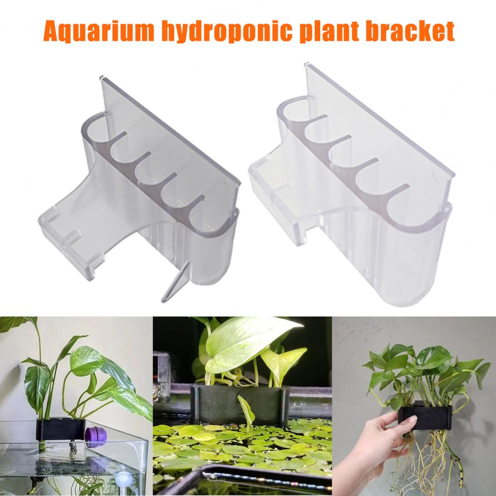 4.5/6.5 センチメートル水族館植物ホルダー水槽植物スタ - Aquarium Fish Pot のレビューと価格