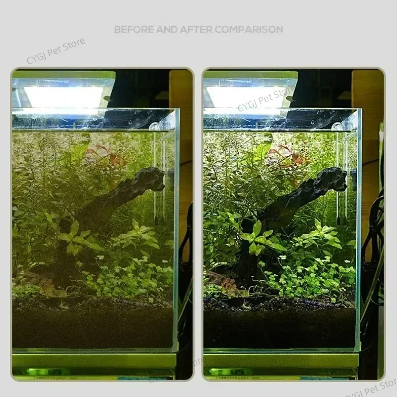 水槽クリーニングツールフラット砂藻類除去デュアルユースガラス - Aquarium Fish Maintenance のレビューと価格