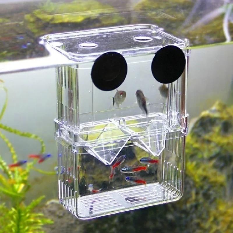 透明魚水族館高クリア繁殖分離ボックスペット用品ブリーダータン - Aquarium Fish Medicine のレビューと価格
