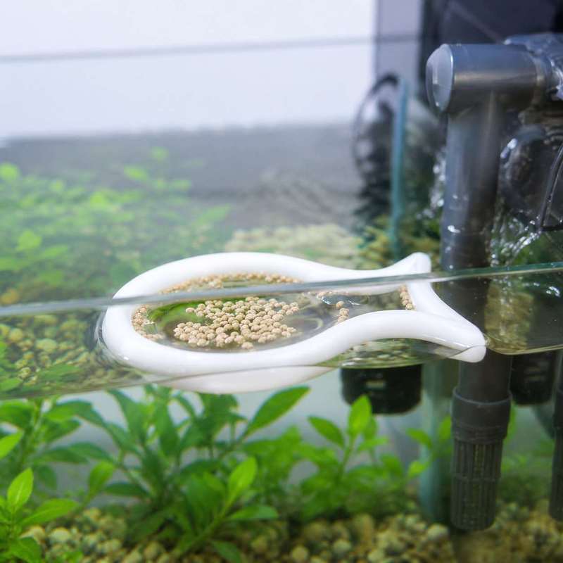 魚の形をした浮遊式餌リング 水槽用魚の餌濃縮サークル 魚タン - Aquarium Fish Medicine のレビューと価格
