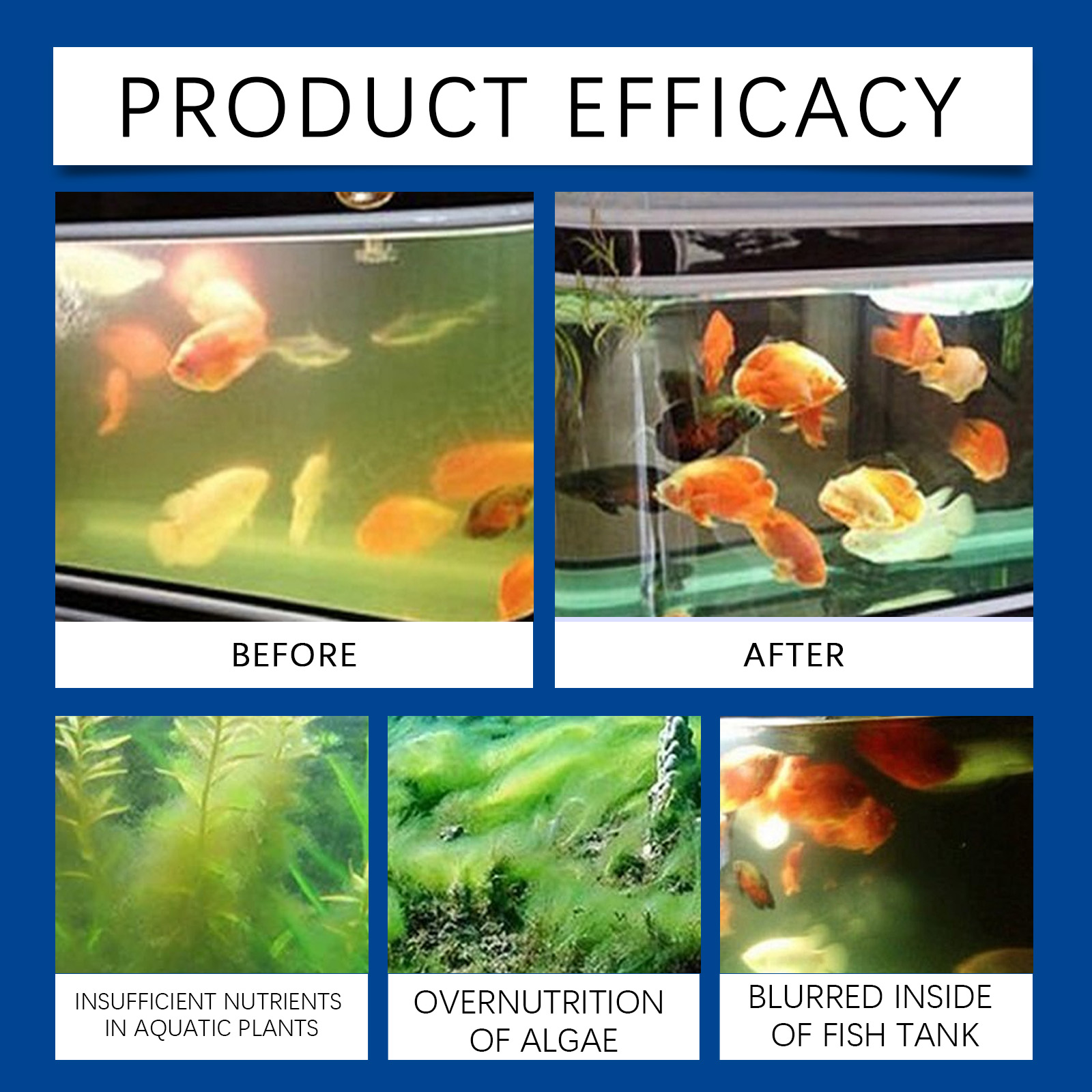 水族館の水精製器 100 ミリリットル淡水海水水槽クリーナー - Aquarium Fish Maintenance のレビューと価格