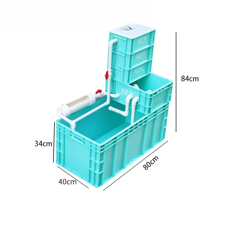 フィルター内蔵のカメ水槽、低メンテナンスで環境に優しい水生カ - Aquarium Fish Low Maintenance のレビューと価格