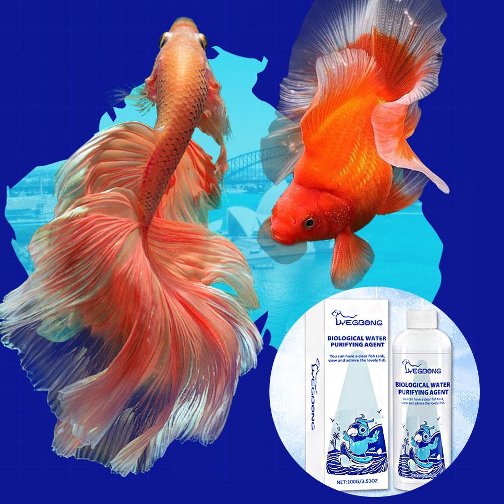 水族館の水質調整器 効率的な水質調整器と浄化装置 水族館のク - Aquarium Fish Medicine のレビューと価格