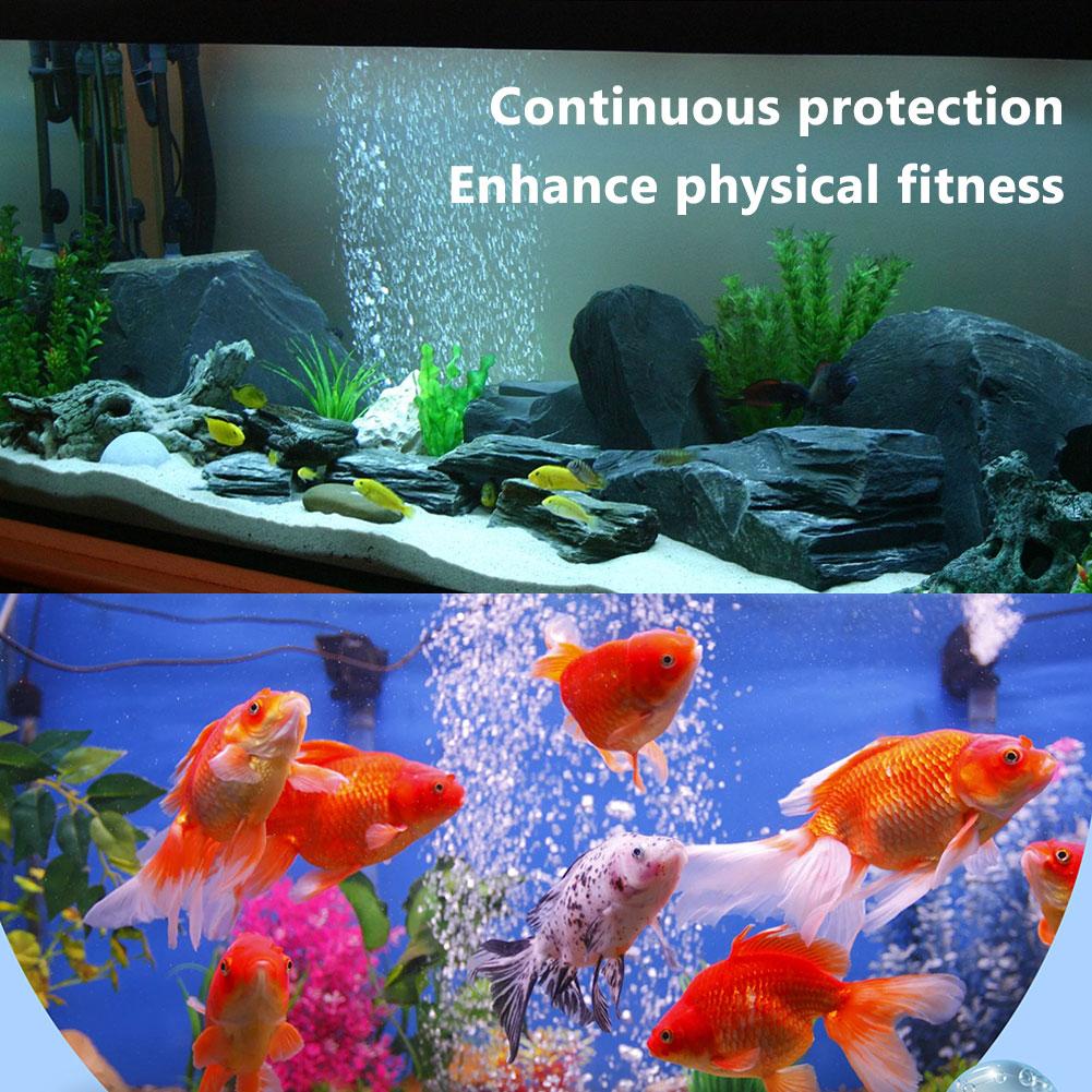 水族館の水質調整器 効率的な水質調整器と浄化装置 水族館のク - Aquarium Fish Medicine のレビューと価格