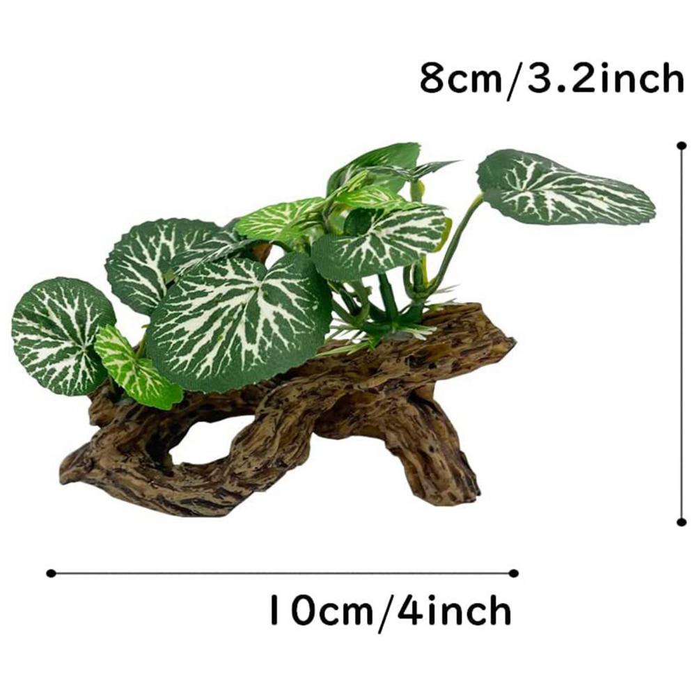 メンテナンスが簡単な水槽用装飾品、ベタフィッシュ用人工水草、 - Aquarium Fish Low Maintenance のレビューと価格