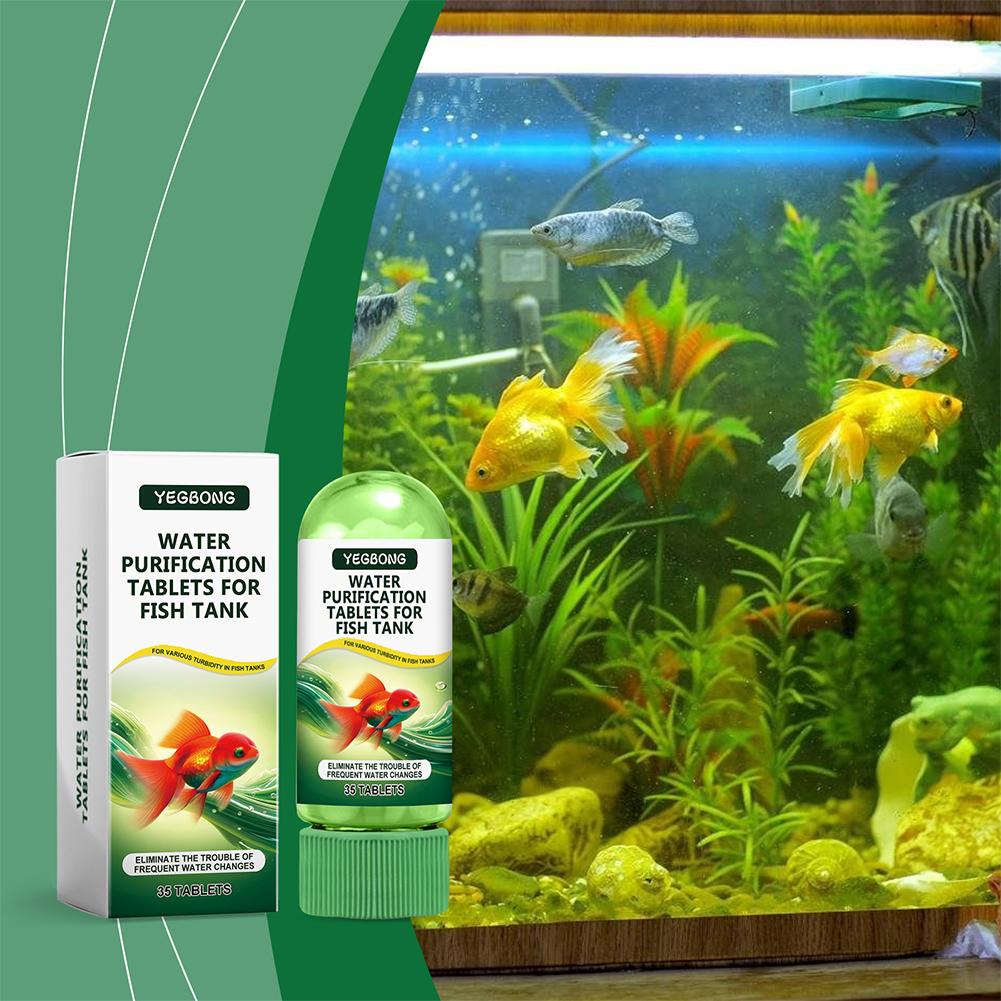 水質浄化タブレット 魚水槽 水槽用 藻類除去剤 澄化剤 消臭 - Aquarium Fish Maintenance のレビューと価格