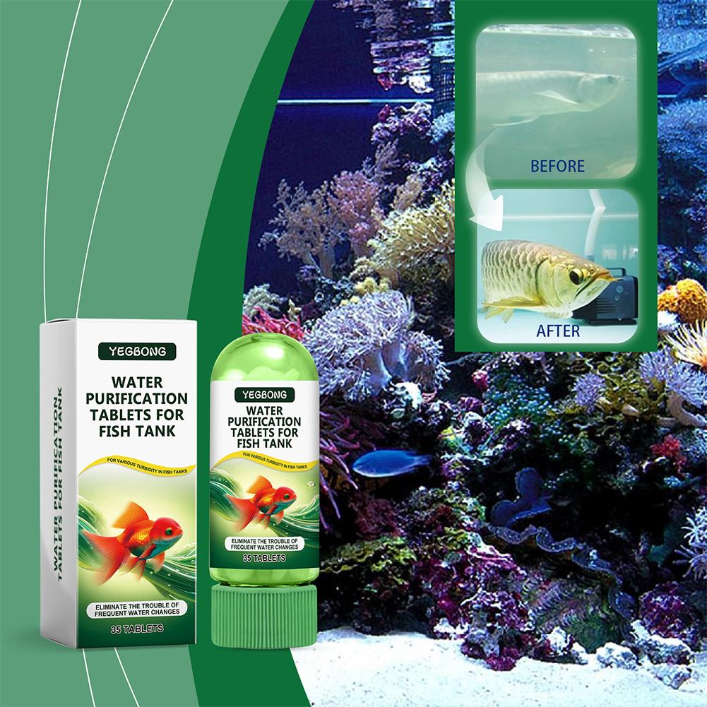 水質浄化タブレット 魚水槽 水槽用 藻類除去剤 澄化剤 消臭 - Aquarium Fish Maintenance のレビューと価格