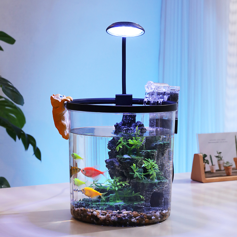コンパクトな丸型金魚鉢 - 酸素供給と流水エコサイクルを備え - Aquarium Fish Low Maintenance のレビューと価格