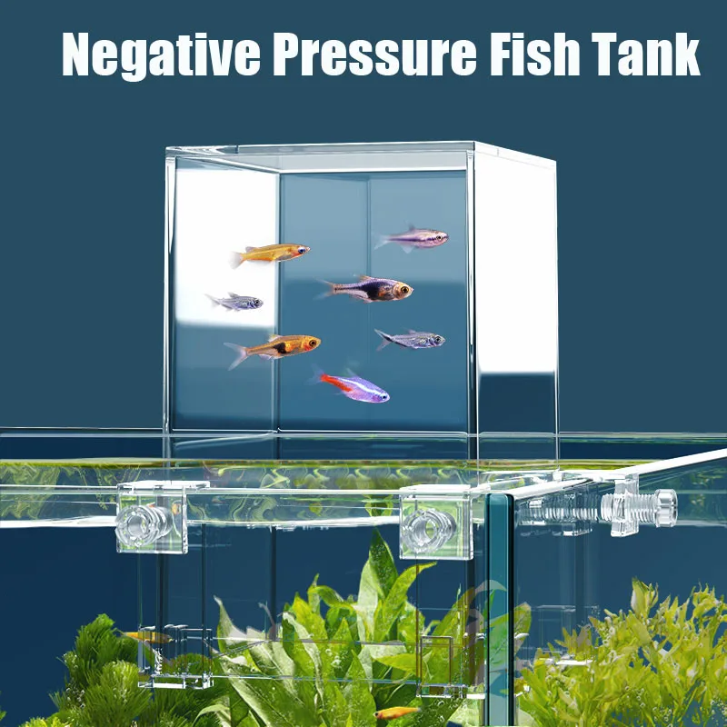 小さな魚のための負の圧力、創造的な装飾、エコロジカル水族館、 - Aquarium Fish Pot のレビューと価格
