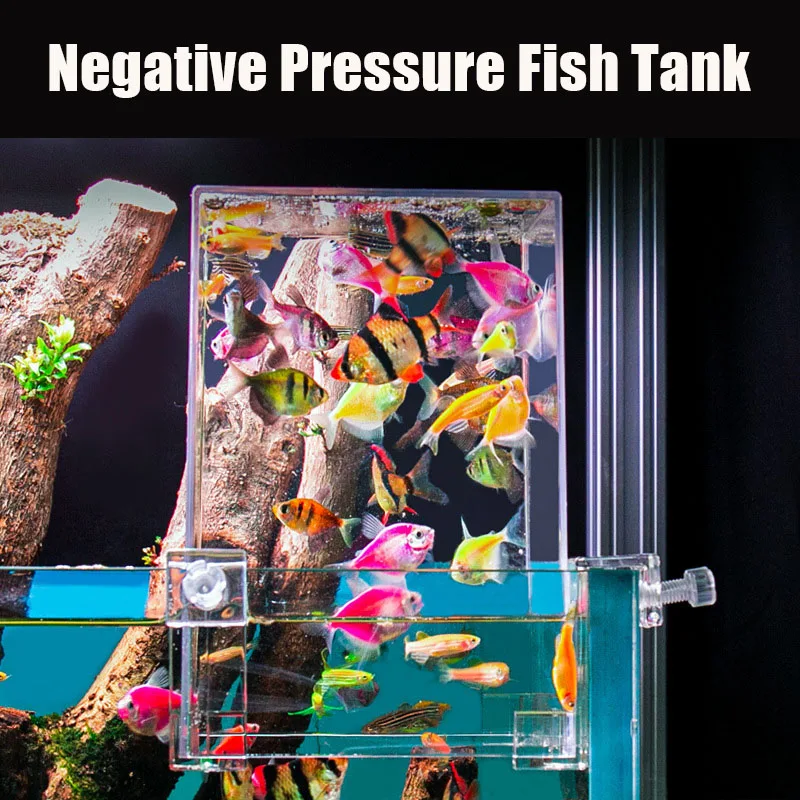 小さな魚のための負の圧力、創造的な装飾、エコロジカル水族館、 - Aquarium Fish Pot のレビューと価格