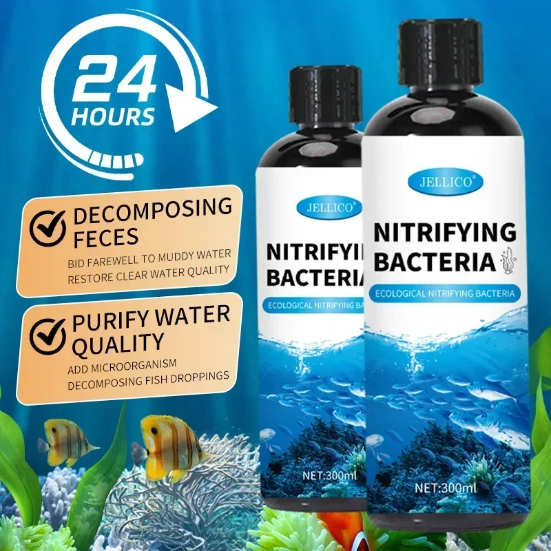 硝化菌液体水槽浄水器水族館養魚医療用品金魚鉢水処理製品 - Aquarium Fish Medicine のレビューと価格