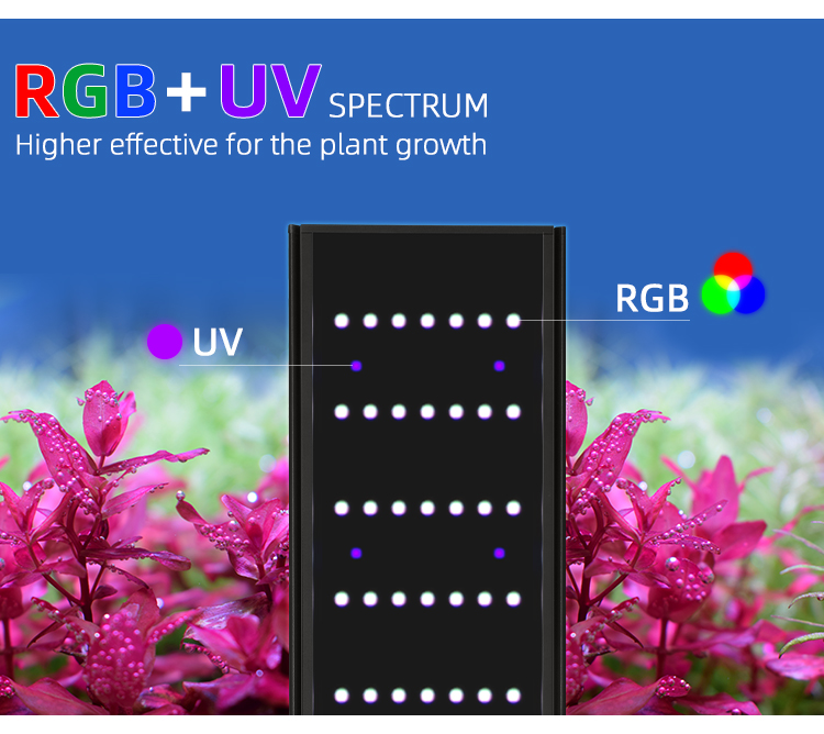 水族館に植えられたLEDライト,1シリーズ,調光器とタイマー - Aquarium Fish App のレビューと価格