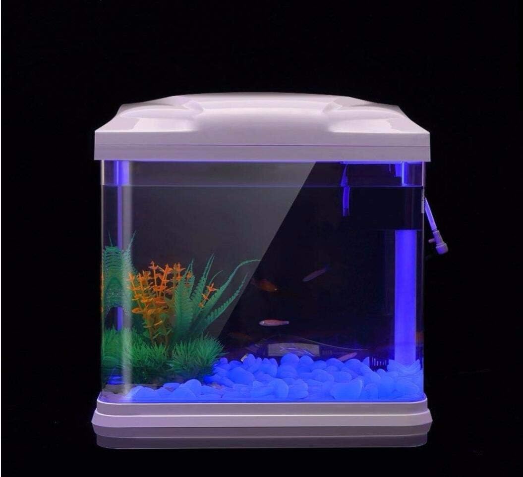 水槽岩グローブルー小石庭用水槽水族館植木鉢盆栽歩道私道 - Aquarium Fish Pot のレビューと価格