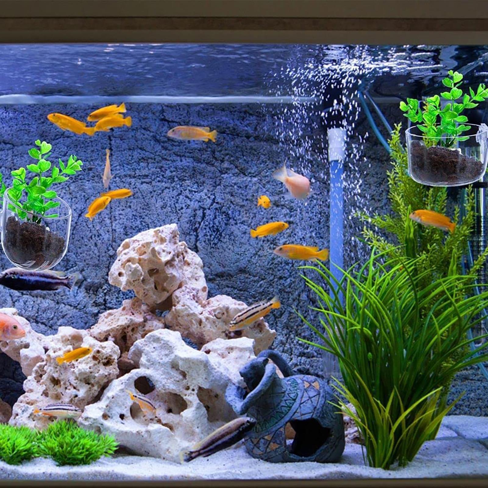水生植物ポット クリアアクリル水族館プランター 吸盤付き 魚 - Aquarium Fish Pot のレビューと価格