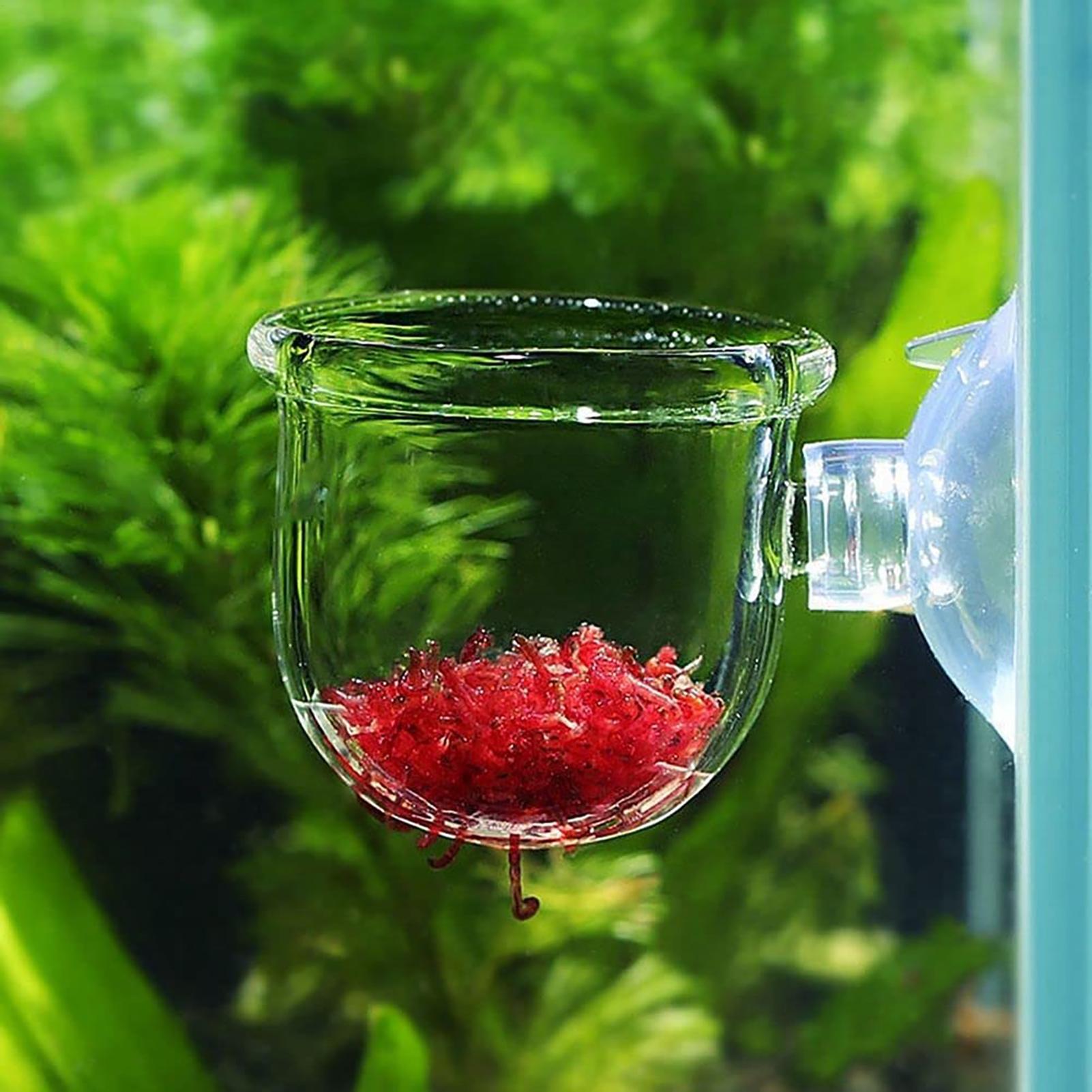 水生植物ポット クリアアクリル水族館プランター 吸盤付き 魚 - Aquarium Fish Pot のレビューと価格