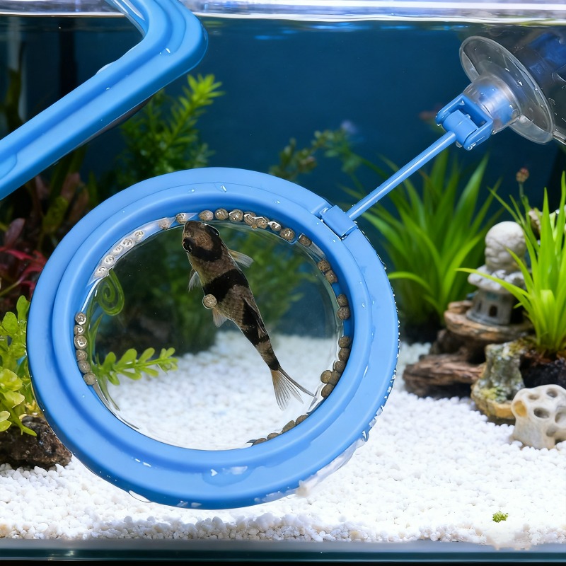 水槽用給餌リングステーション、フローティングフードトレイフィ - Aquarium Fish Medicine のレビューと価格