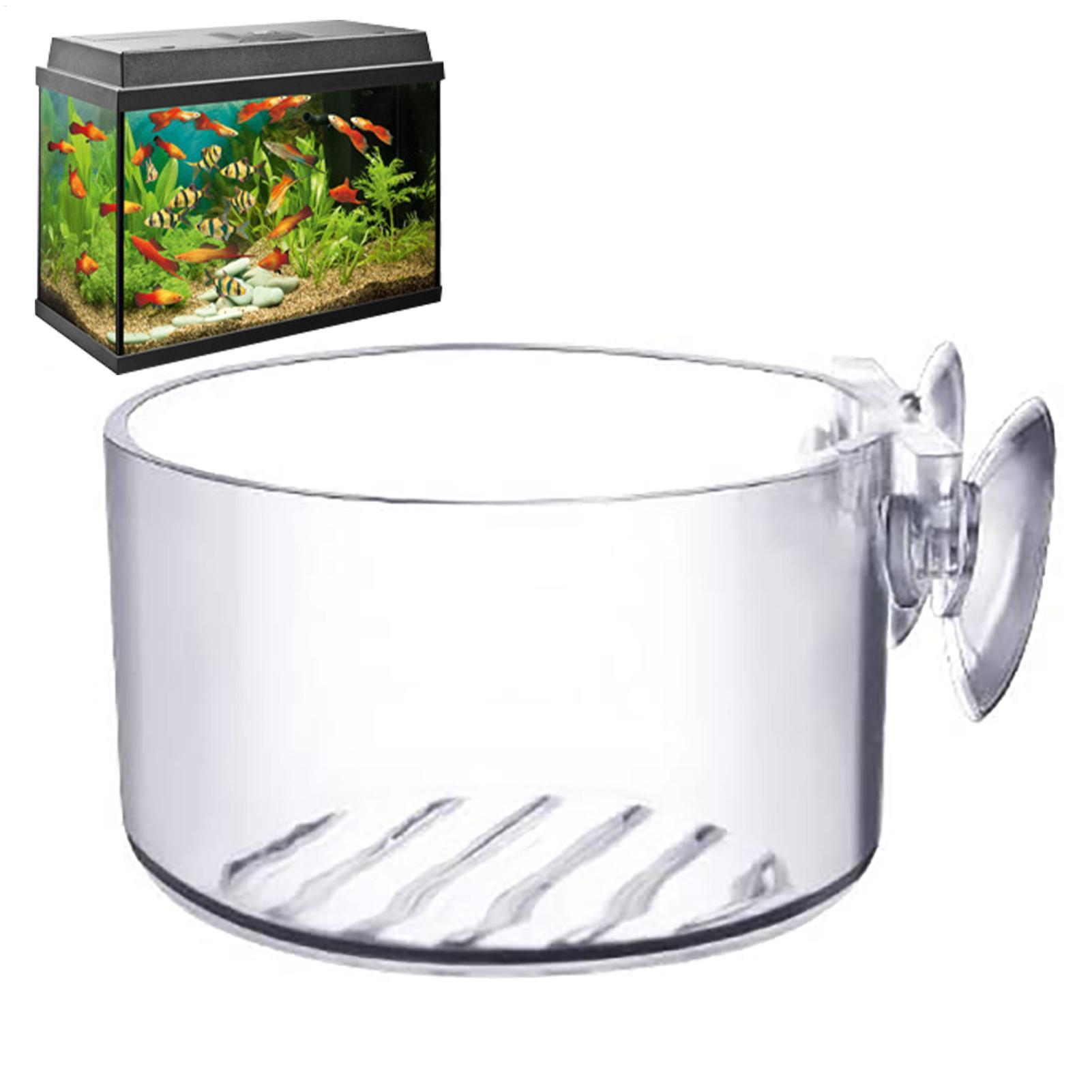 水生植物ポット アクリル製水生植物カップ 吸盤付きポット 水 - Aquarium Fish Pot のレビューと価格