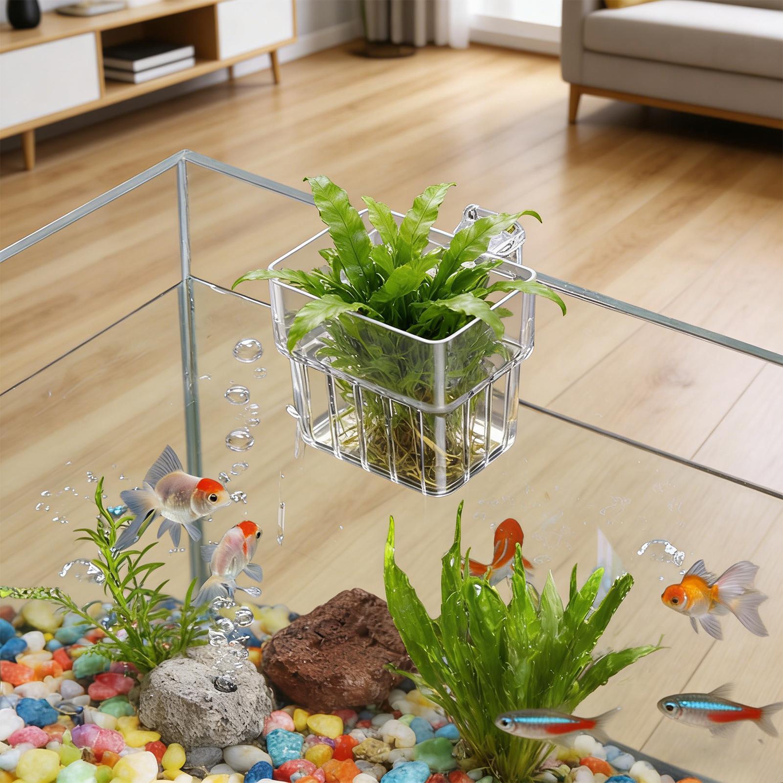 水槽用透明ハンガーポット 吊り下げ可能な水槽植物ホルダー 水 - Aquarium Fish Pot のレビューと価格