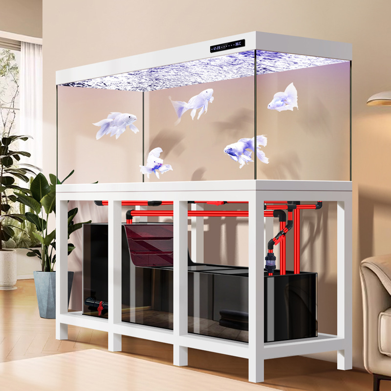 パイプレス工業用大型アロワナ水槽、2026年新型エコウルトラ - Aquarium Fish Low Maintenance のレビューと価格