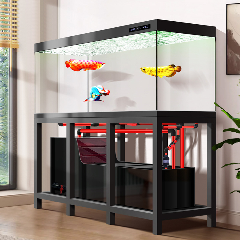 パイプレス工業用大型アロワナ水槽、2026年新型エコウルトラ - Aquarium Fish Low Maintenance のレビューと価格
