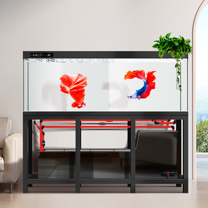 パイプレス工業用大型アロワナ水槽、2026年新型エコウルトラ - Aquarium Fish Low Maintenance のレビューと価格