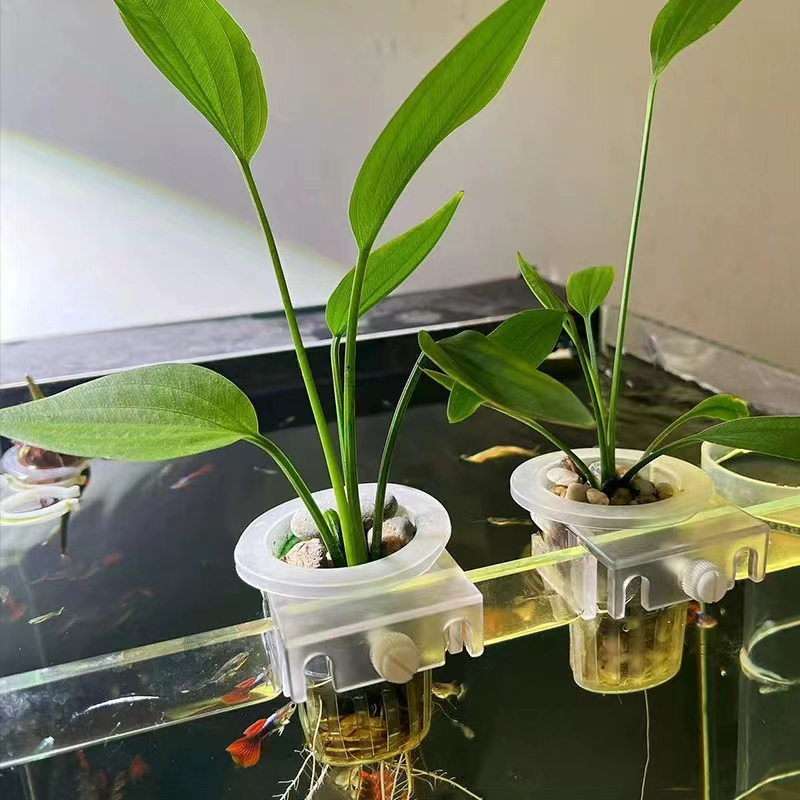 水槽、水族館の植栽バスケット、水グラスカップ、植物ホルダーの - Aquarium Fish Pot のレビューと価格