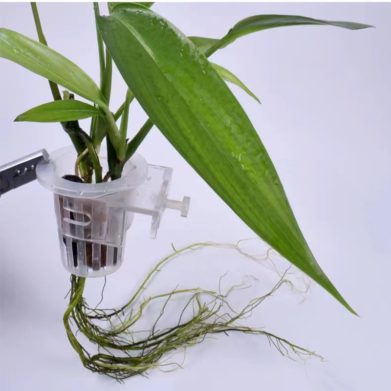 水槽、水族館の植栽バスケット、水グラスカップ、植物ホルダーの - Aquarium Fish Pot のレビューと価格